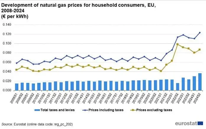 evoluzione prezzi gas naturale consumatori domestici 2008-2024