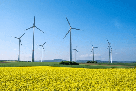offerte verdi rinnovabile