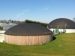 impianto biogas