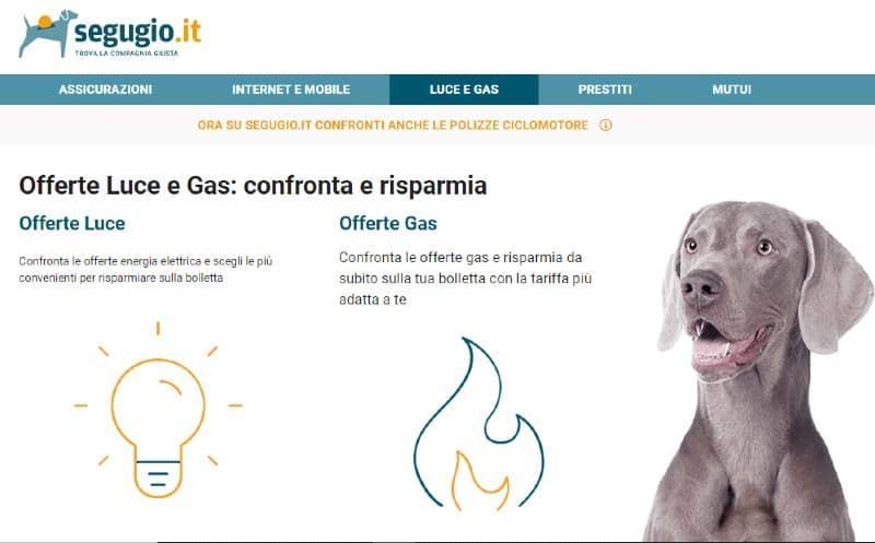 Homepage Segugio
