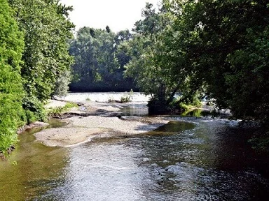 L'acqua è fondamentale per la sopravvivenza